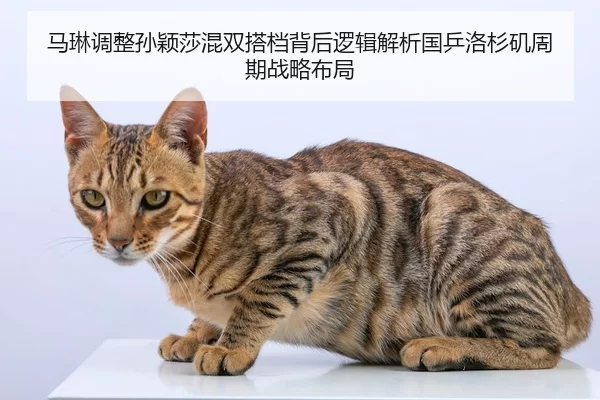 马琳调整孙颖莎混双搭档背后逻辑解析国乒洛杉矶周期战略布局