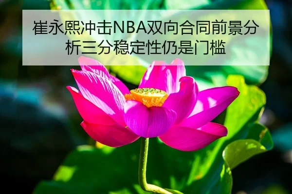 崔永熙冲击NBA双向合同前景分析三分稳定性仍是门槛