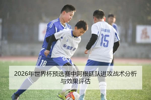 2026年世界杯预选赛中阿根廷队进攻战术分析与效果评估
