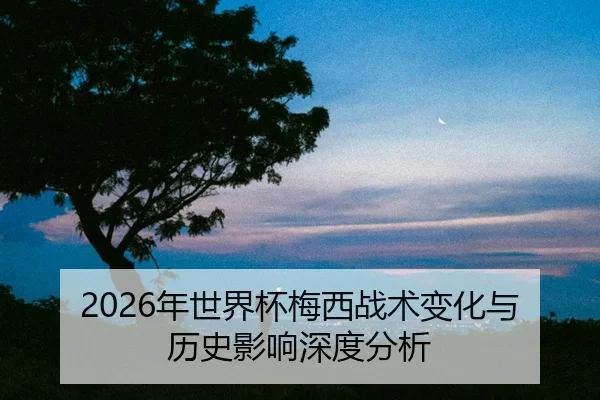 nian-shi-jie-bei-mei-xi-zhan-shu-bian-hua-yu-li-shi-ying-xiang-shen-du-fen-xi-2-576.jpg