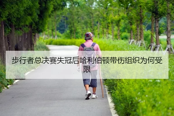 bu-xing-zhe-zong-jue-sai-shi-guan-hou-ha-li-bo-dun-dai-shang-zu-zhi-wei-he-shou-xian-2-701.jpg