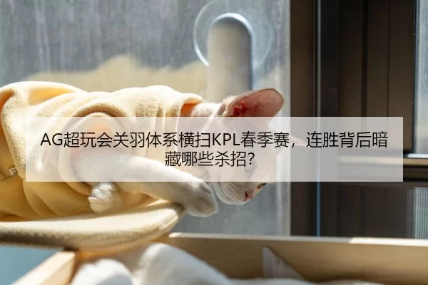 AG超玩会关羽体系横扫KPL春季赛，连胜背后暗藏哪些杀招？