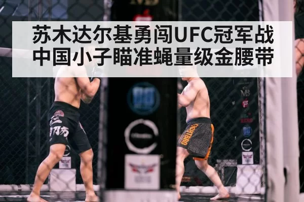 苏木达尔基勇闯UFC冠军战 中国小子瞄准蝇量级金腰带